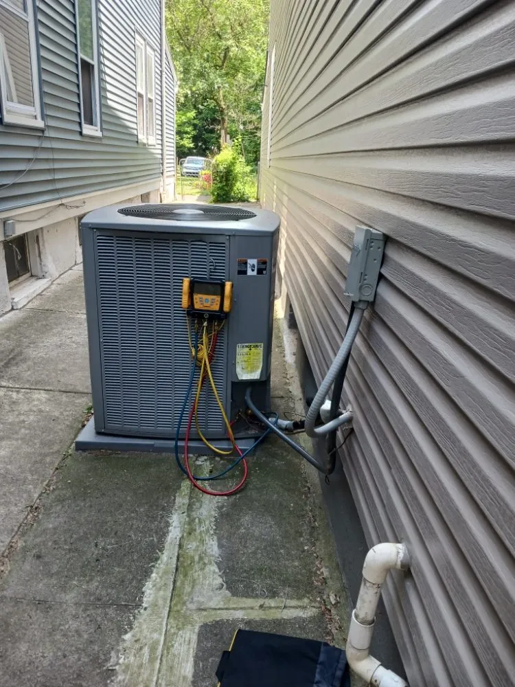 Slide of Jenalia Mechanical