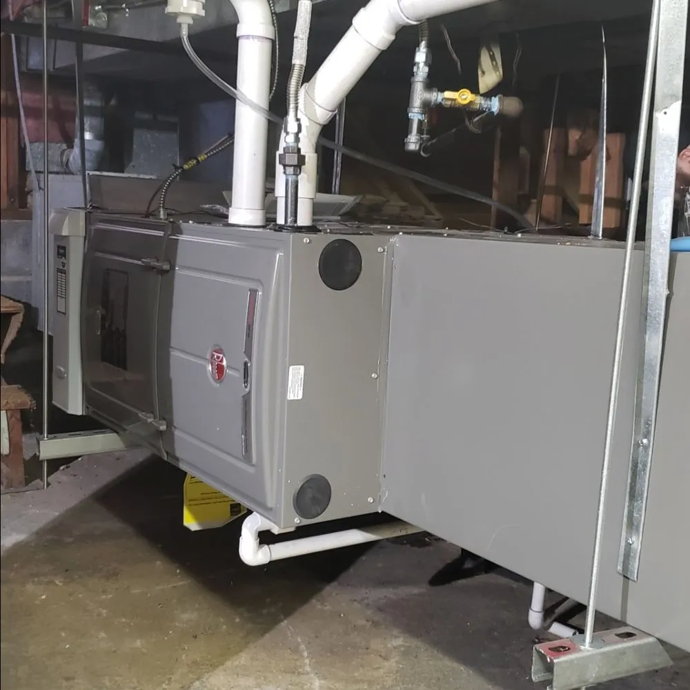 Slide of Jenalia Mechanical