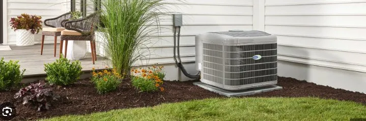 Slide of Jenalia Mechanical