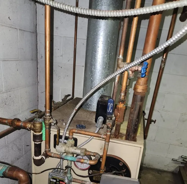 Slide of Jenalia Mechanical