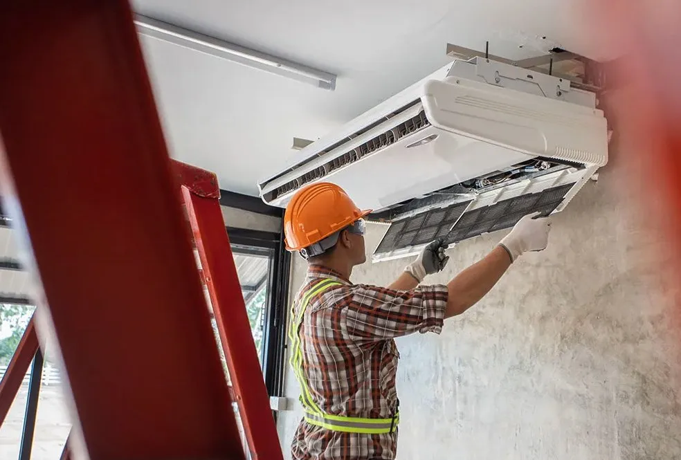 Slide of Jenalia Mechanical