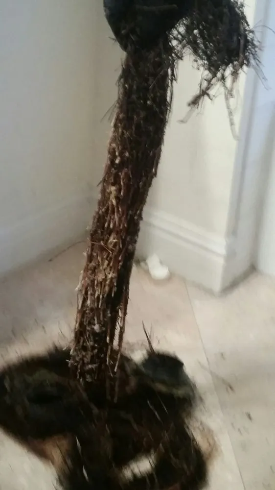 Slide of Jenni Plumber