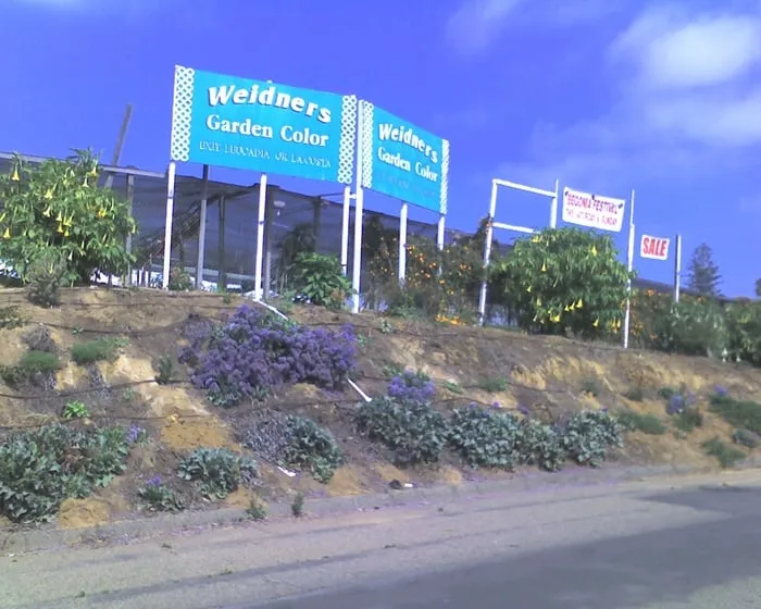 Slide of Jenni Plumber