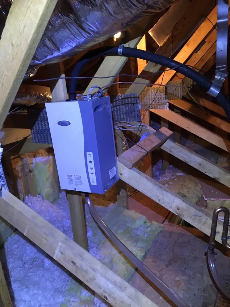 Slide of Jenni Plumber