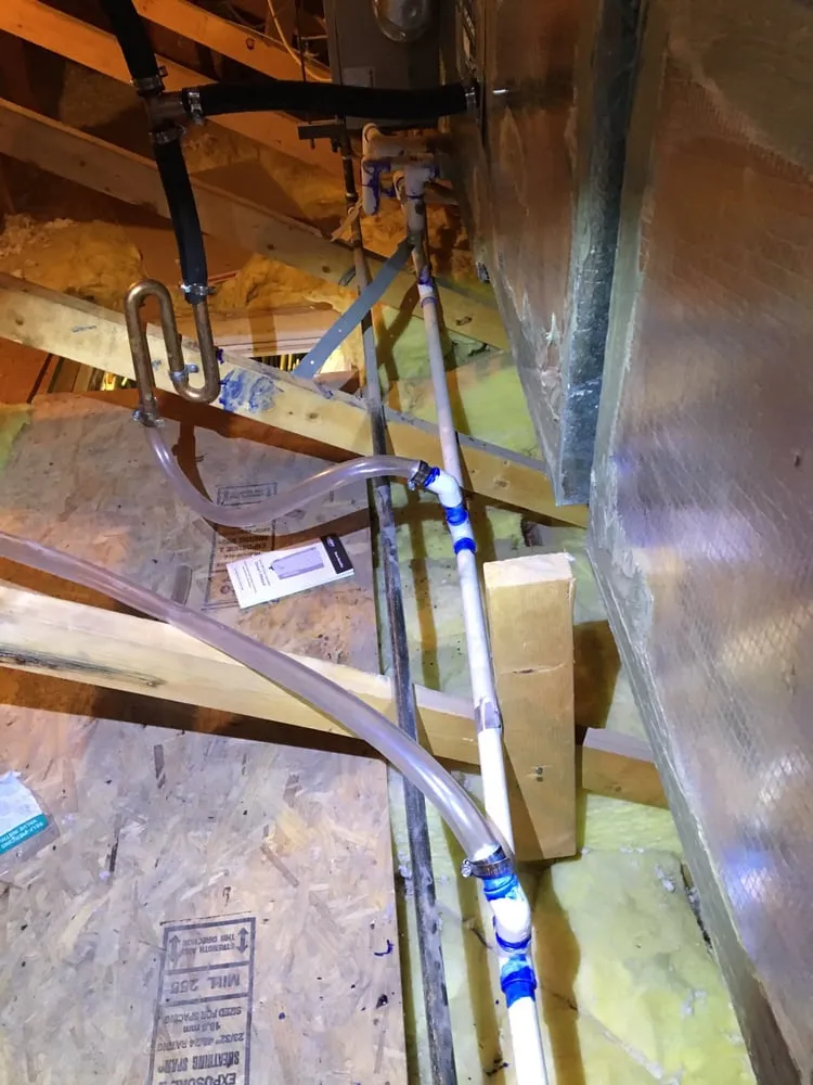 Slide of Jenni Plumber