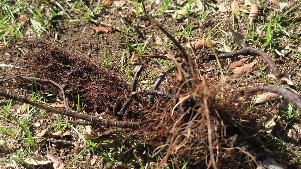 Slide of Jerry Rous Plumbing