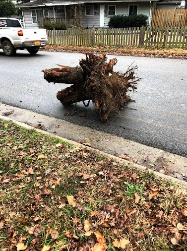 Slide of Jerry's Drain Cleaning