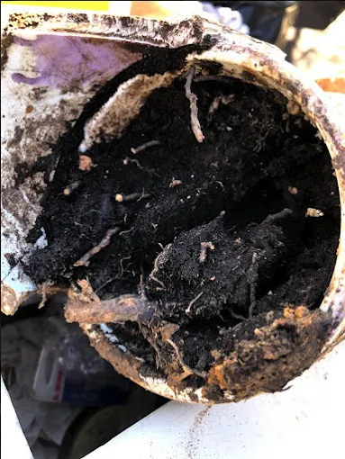 Slide of Jerry's Drain Cleaning