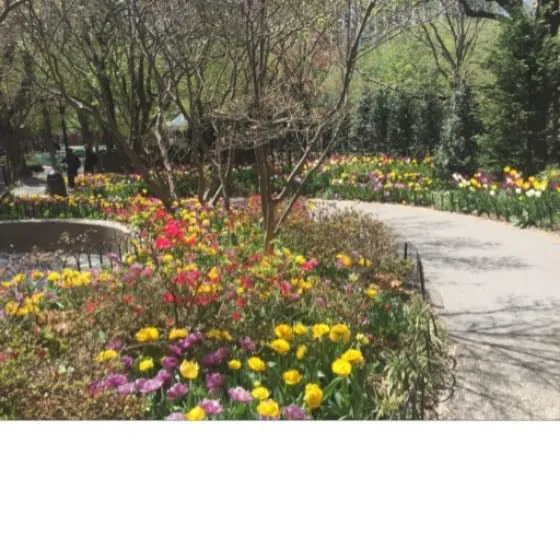 Expert leak detection in Toms River, NJ by Jersey Shore Lawn Sprinkler