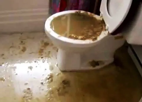 Slide of Jersey Shore