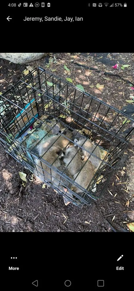 Slide of Jesse Arroyos