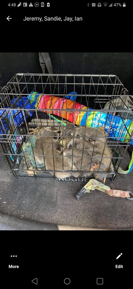 Slide of Jesse Arroyos