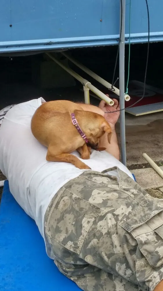 Slide of Jetter Jeff