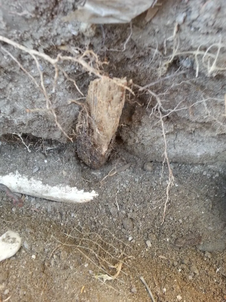 Slide of Jetters & Snakes Drain Cleaning Company