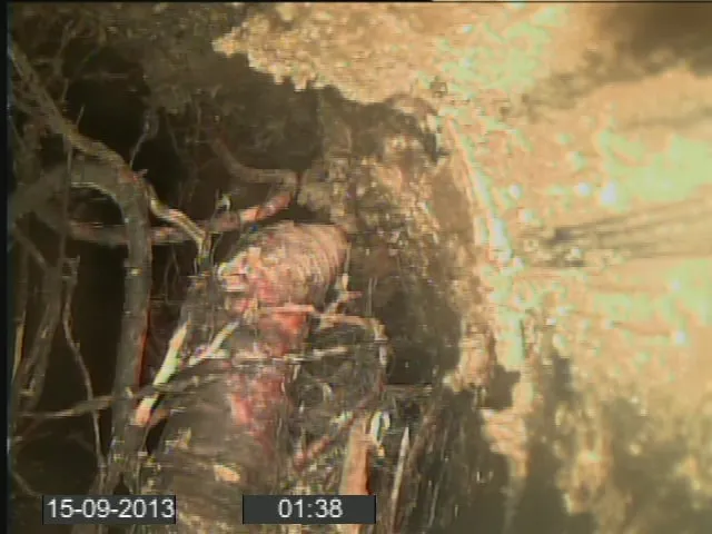 Slide of Jetters & Snakes Drain Cleaning Company