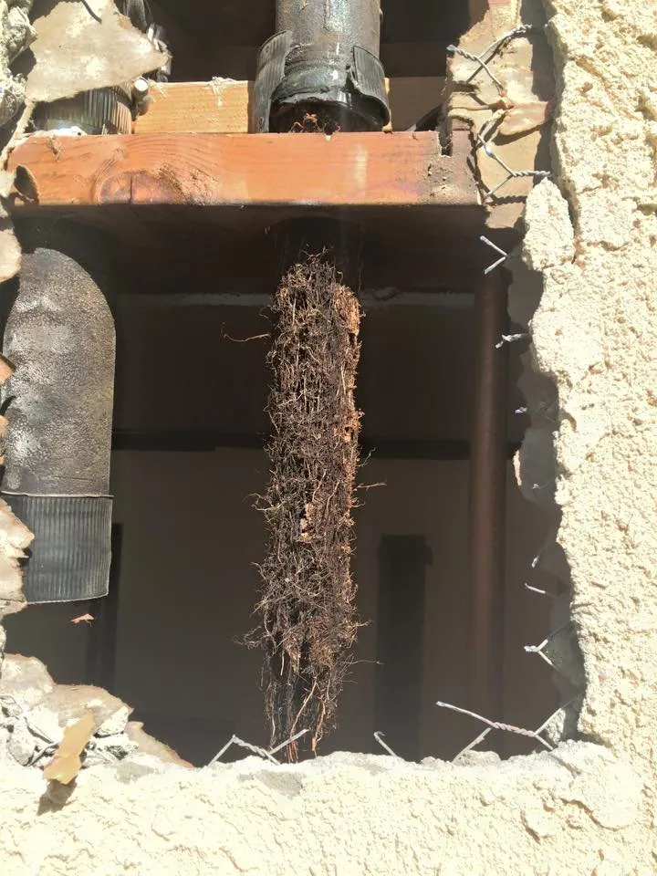 Slide of Jetters n Snakes Drain cleaning