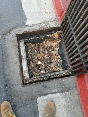 Jetters n Snakes Drain cleaning Logo