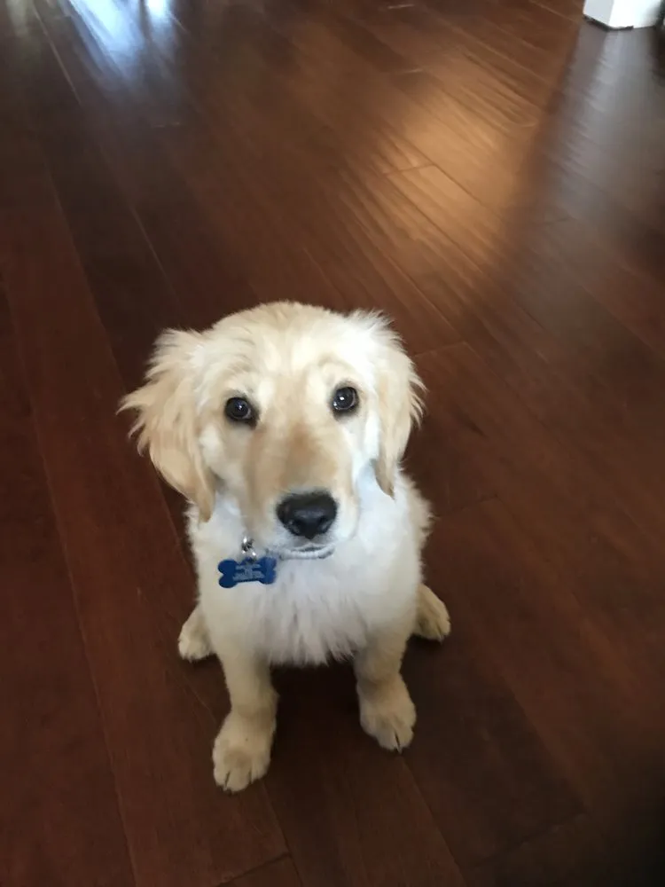 Slide of JFC Plumbing