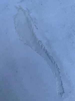 JH Repairs and Refinishing Logo