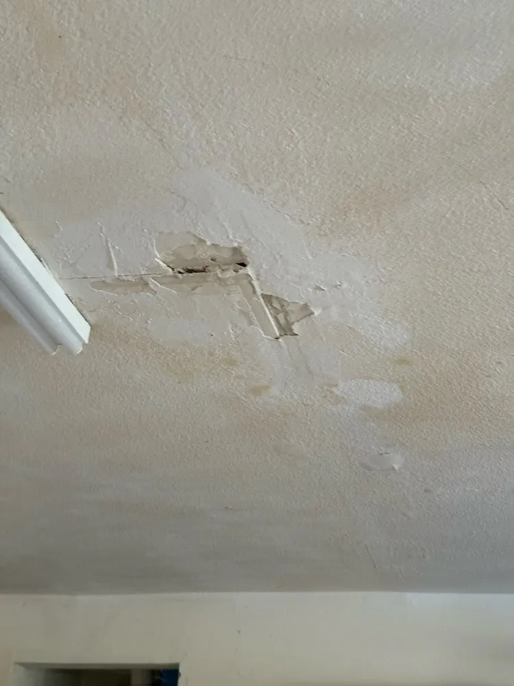 Slide of JHS REPAIRS