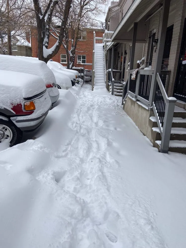 Slide of Jill of Trades