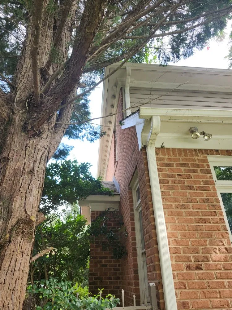 Slide of Jilmer Ramos