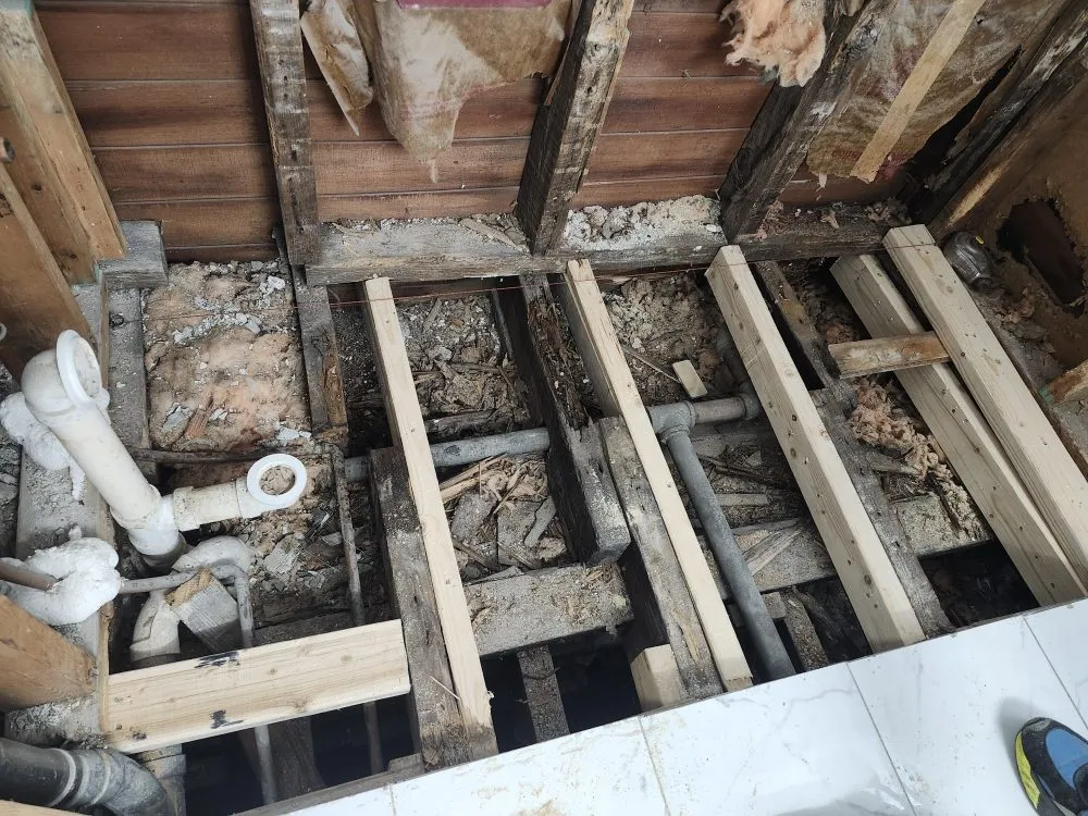 Slide of Jilmer Ramos