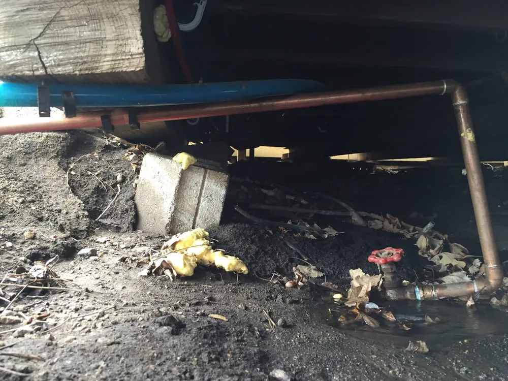 Affordable emergency plumbing for homes in Albert Lea, MN by Jim & Dude's Plumbing Heating & Air Conditioning