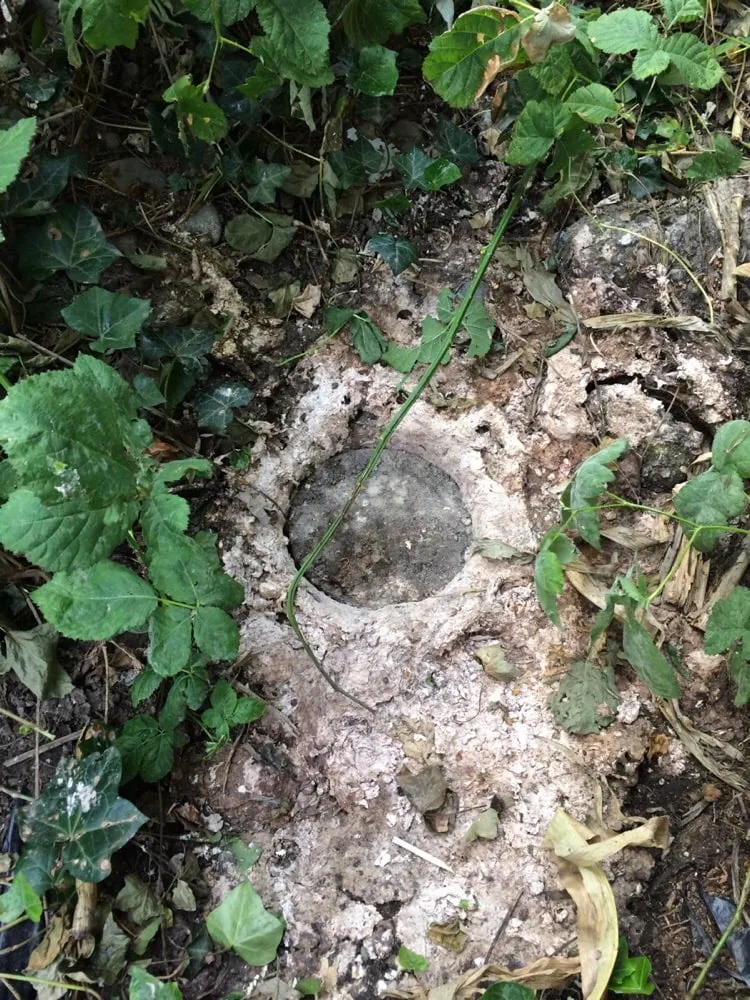 Top-rated water heater service in Mountlake Terrace, WA by Jim Dandy Sewer & Plumbing