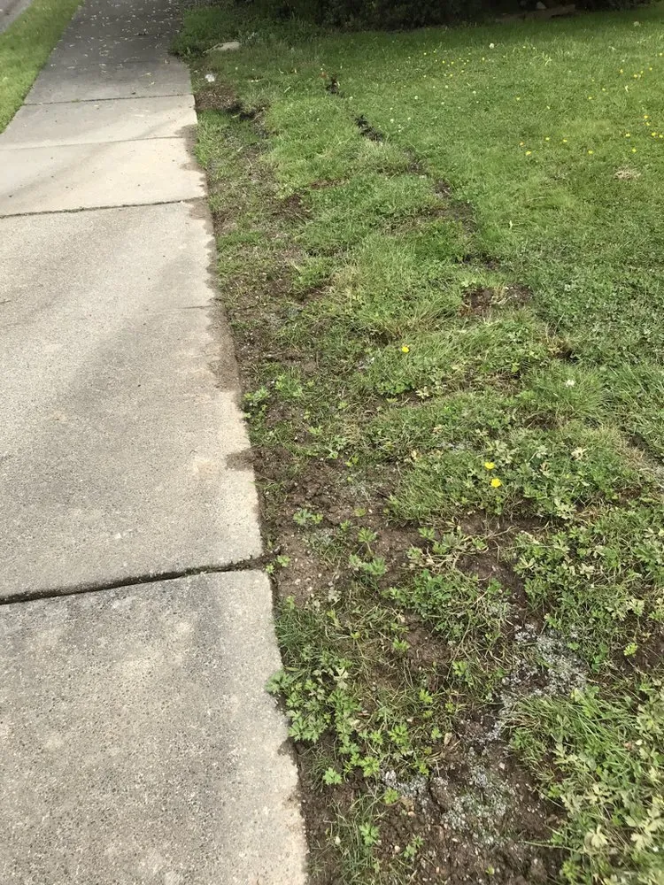 Affordable pipe repair for homes in Mountlake Terrace, WA by Jim Dandy Sewer & Plumbing