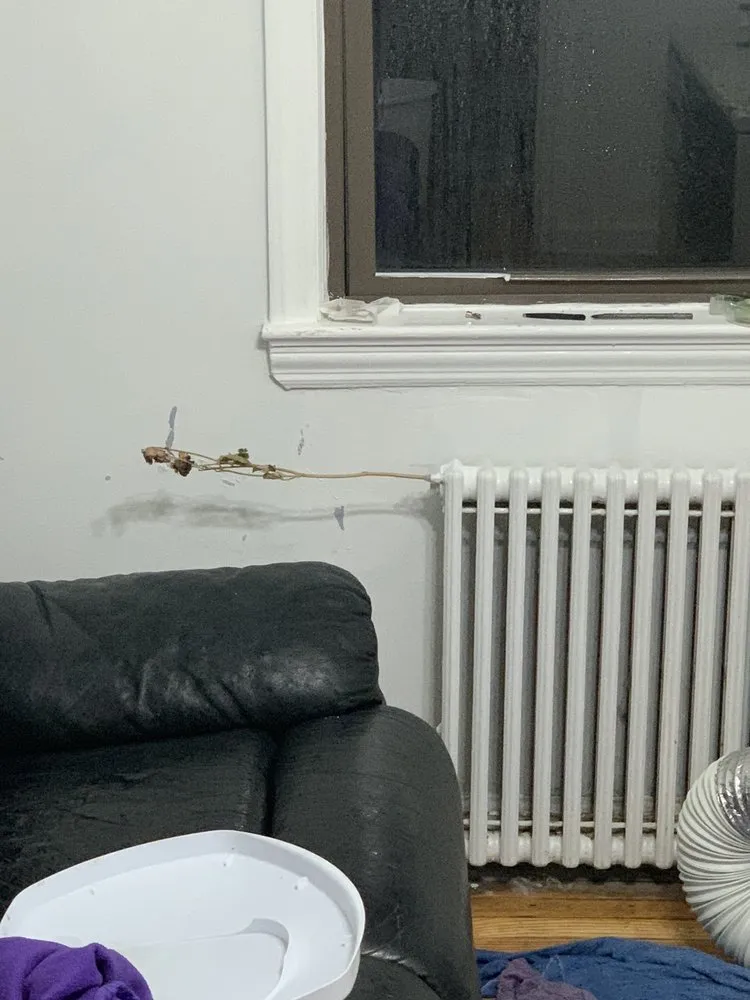 Slide of Jim Moscone Plumbing & Heating