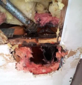 Slide of Jimmi The Plumber of Chicago