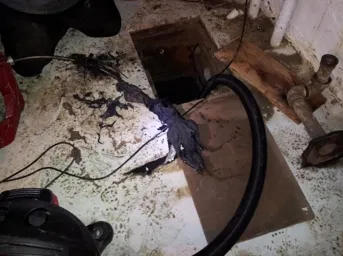 Slide of Jimmi The Plumber of Chicago