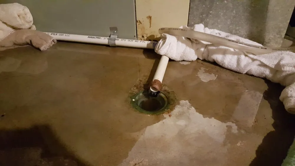 Slide of Jimmy Rooter