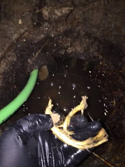 Slide of Jimmy's Drain & Sewer Service