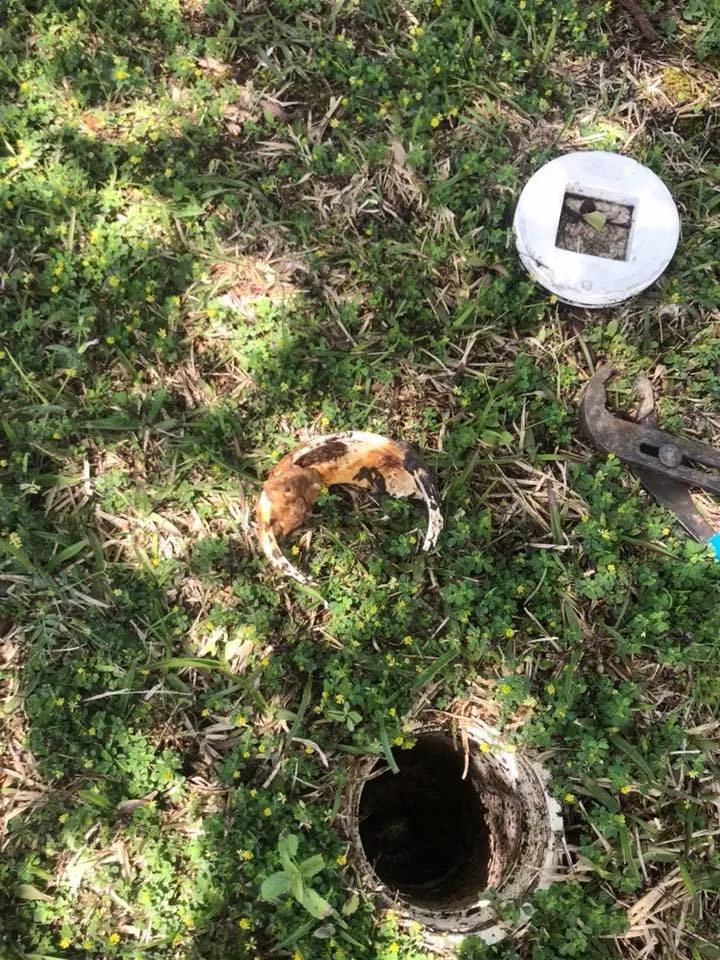 Slide of Jimmy's Drain & Sewer Service