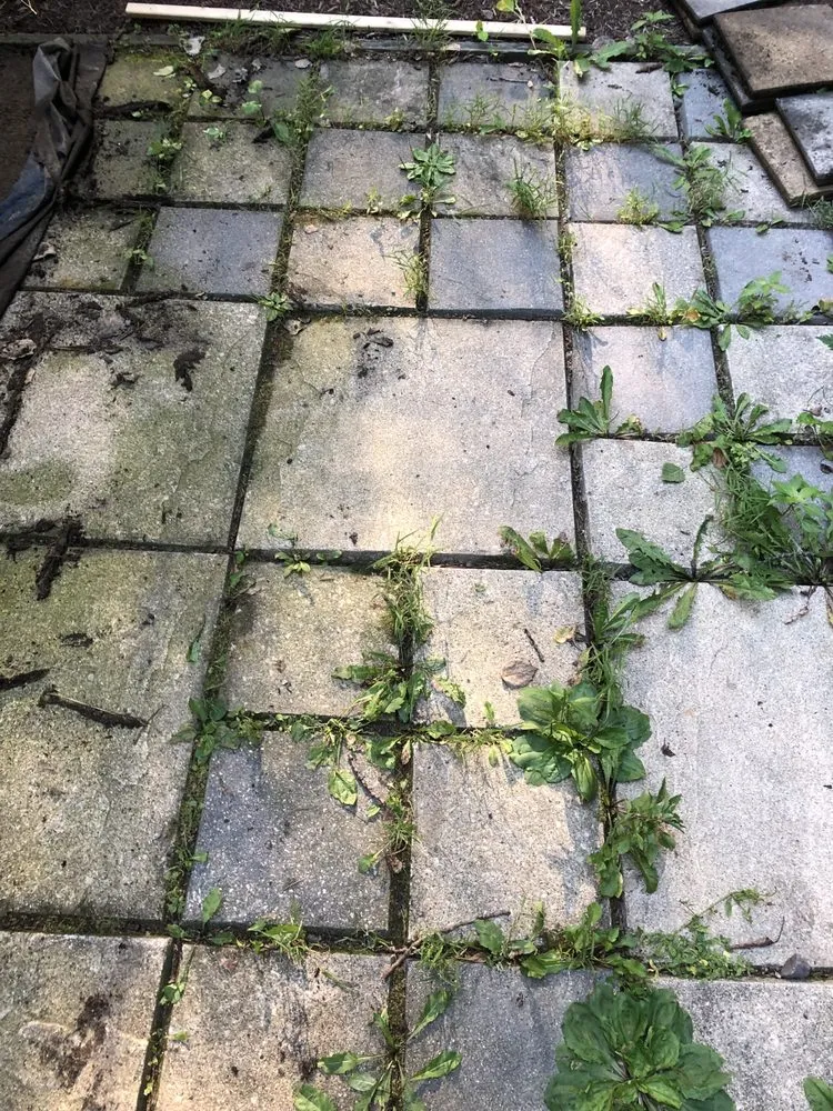 Slide of Jim’s Home Services