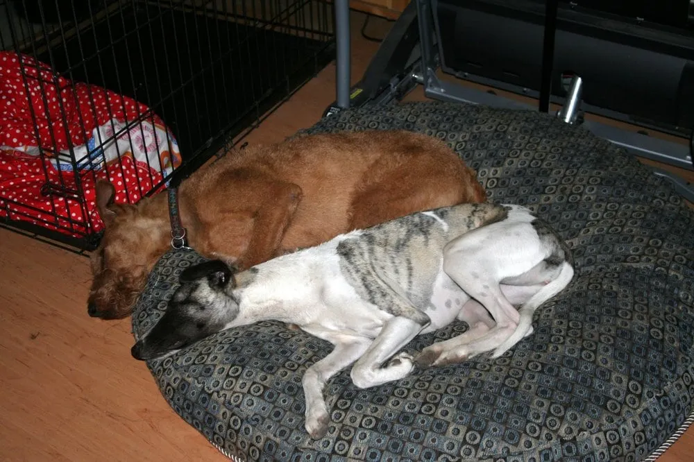 Slide of JJ Plumbing