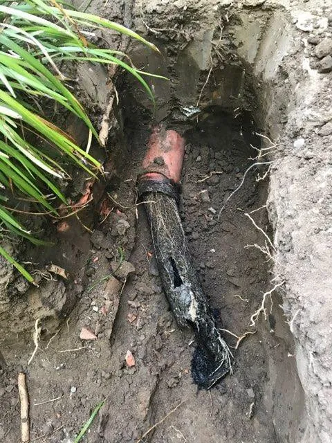 Emergency drain cleaning for homes in Los Angeles, CA by J&J Rooter & Plumbing