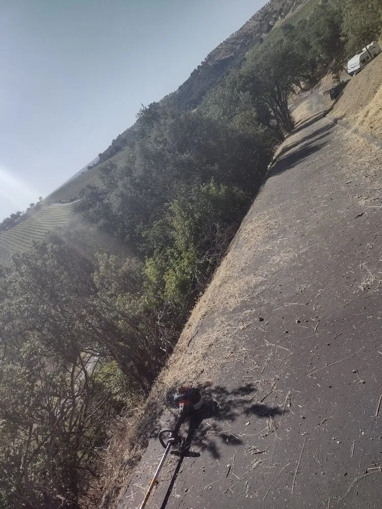 Trusted leak detection service in Templeton, CA - Jk's cleaning and Handy services