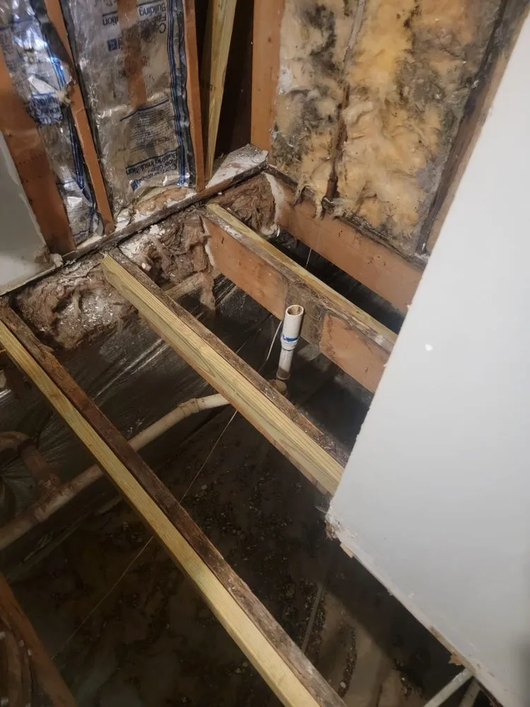 Slide of JL Painting Y Construction