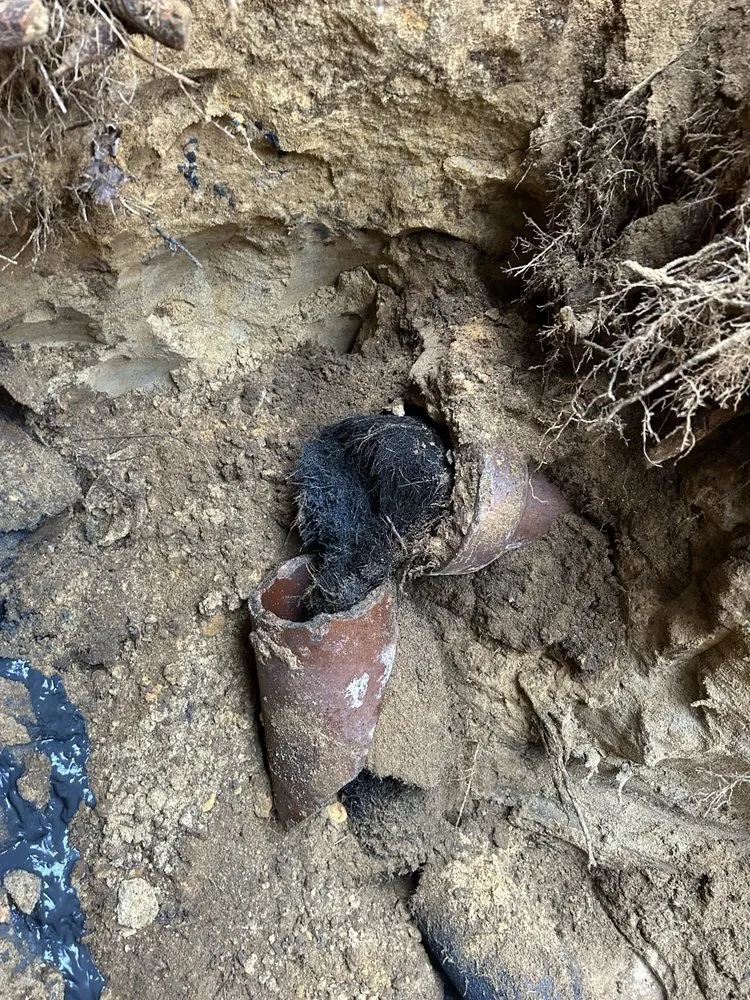 Slide of Jl Plumbing & Drain Cleaning Services