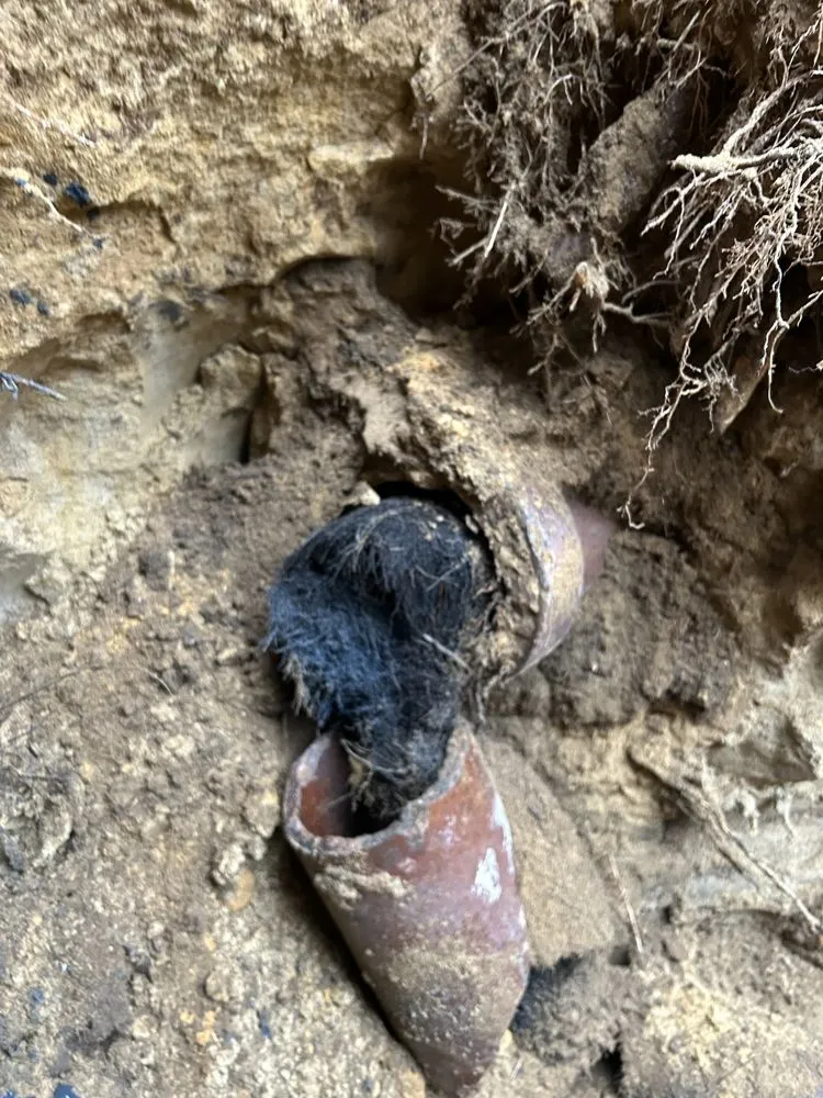 Slide of Jl Plumbing & Drain Cleaning Services