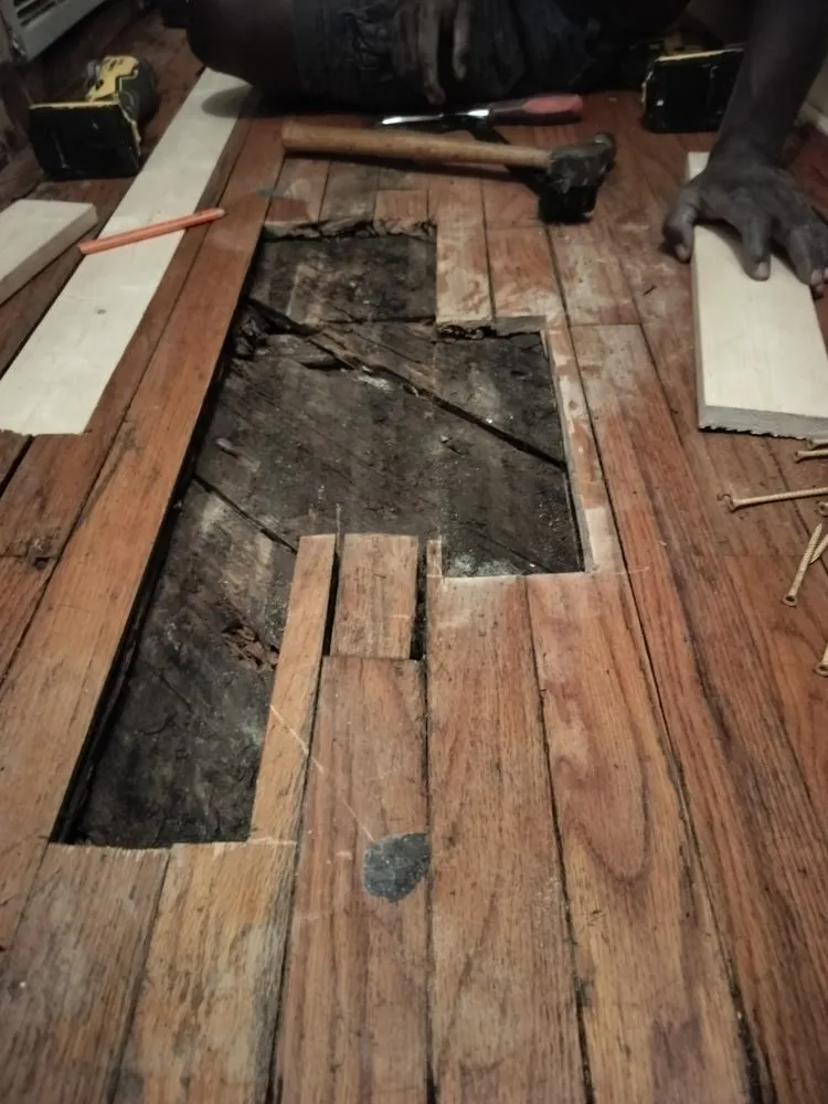 Emergency drain cleaning in Corpus Christi, TX by Jlouis Handyman & Remodeling