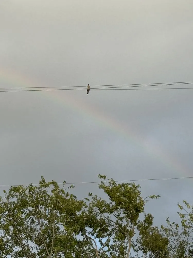 Slide of JLT Plumbing