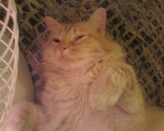 Slide of JMF Plumbing