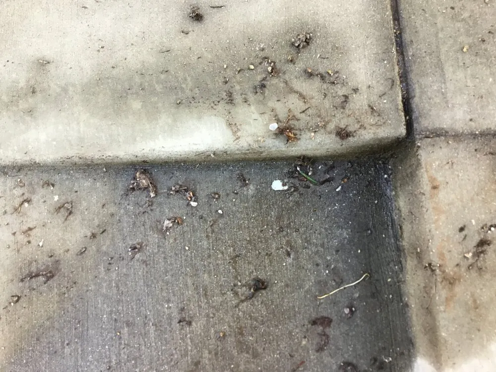 Slide of JMS Express Plumbing Burbank