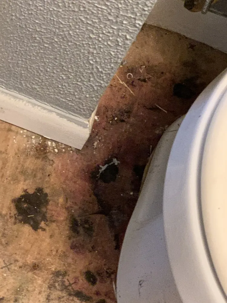 Slide of JNR Home Improvement