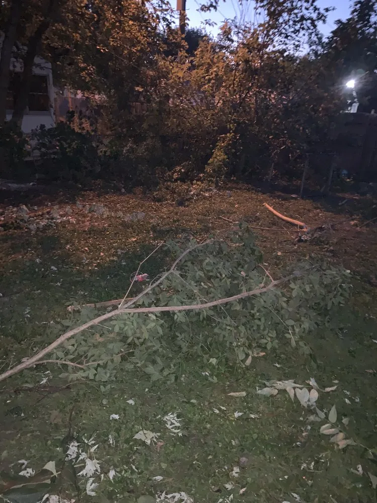 Top-rated drain cleaning for homes in Muncie, IN by JNR Home Improvement