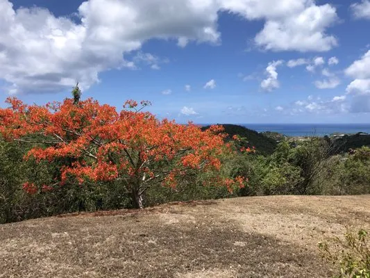 Joe Castro Plumber Logo